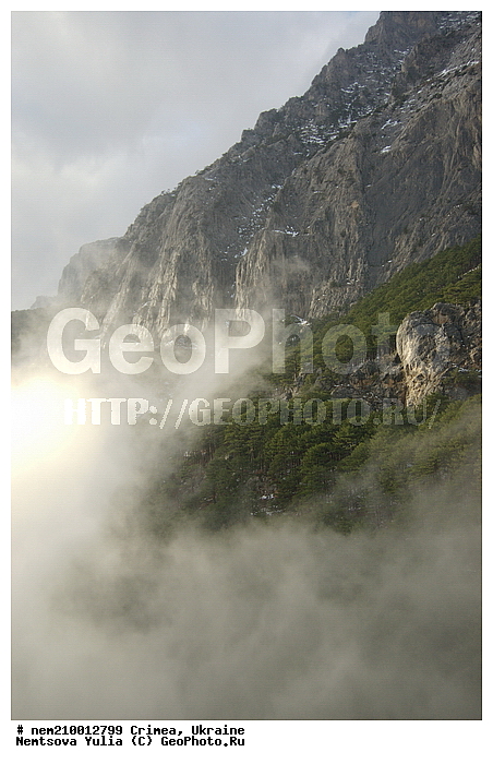 ����, �������, ����, ����, ������, �����