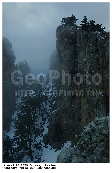 ����, �������, ����, �����, ������