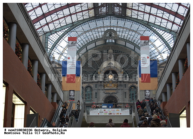 ���������, �������, ��������, ��� ������, ������, �����, ������, �������, ����, ���������