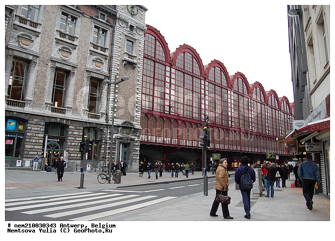 ���������, �������, ��������, ��� ������, �����, ����, �������, ����������, ��������, ��������