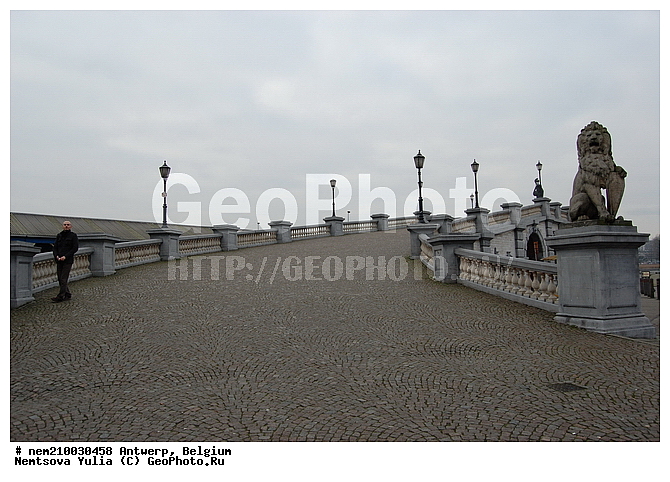 ���������, �������, ��������, �����, ��� ������, �����, ������, ��������, �������