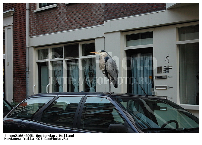 ���������, ���������, ����������, ���, ��� ������, �����, ������, �����, ������