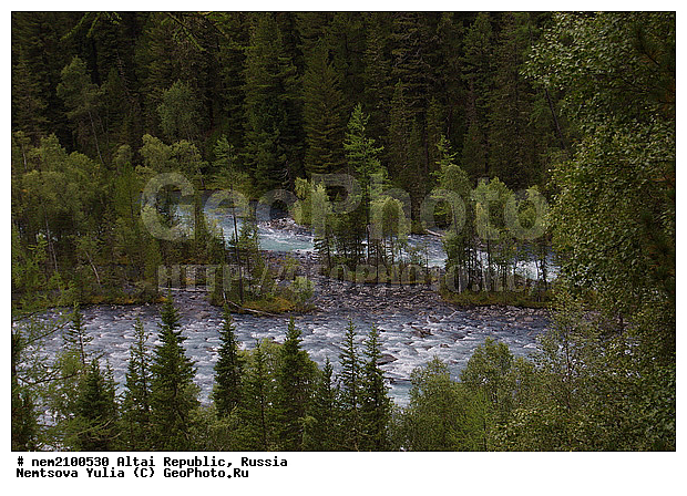 �����, ������