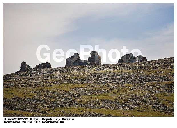 �����, ������