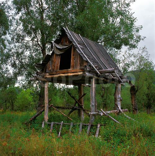 ������� ������, ��������, ������, ��������, �������