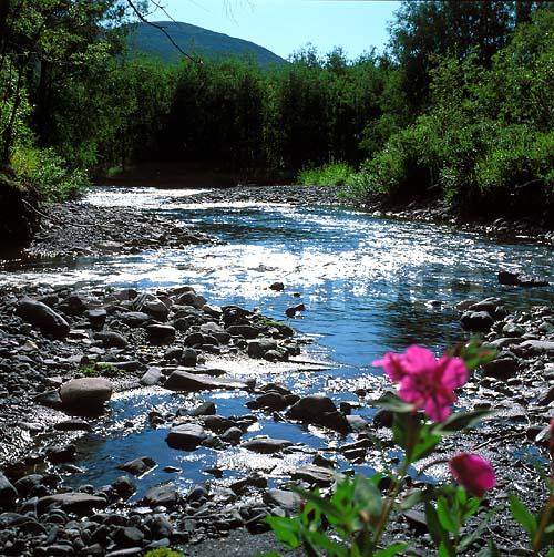 ������� ������, ��������, ������, ��������, �������