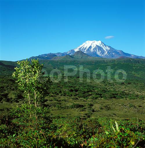 ������� ������, ��������, ������, ��������, �������