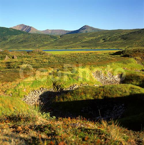 ������� ������, ��������, ������, ��������, �������