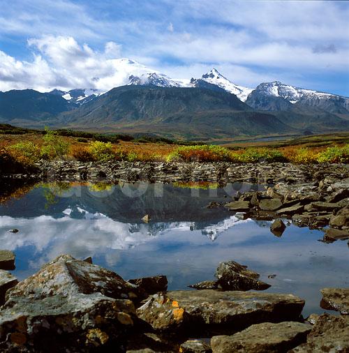 ������� ������, ��������, ������, ��������, �������