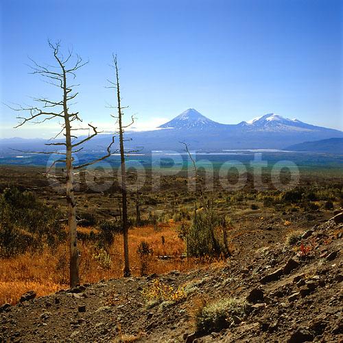 ������� ������, ��������, ������, ��������, �������