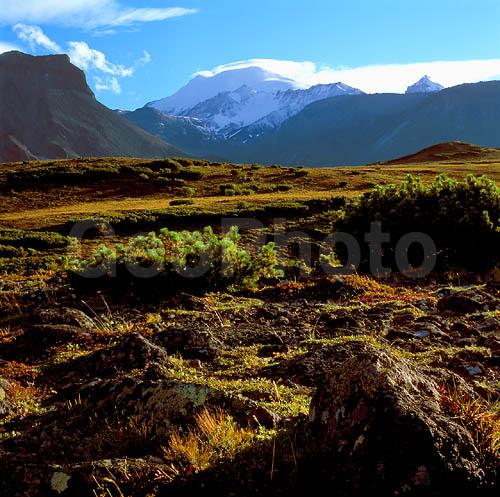 ������� ������, ��������, ������, ��������, �������