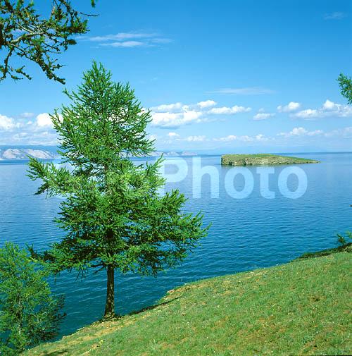 ����� ������, ������