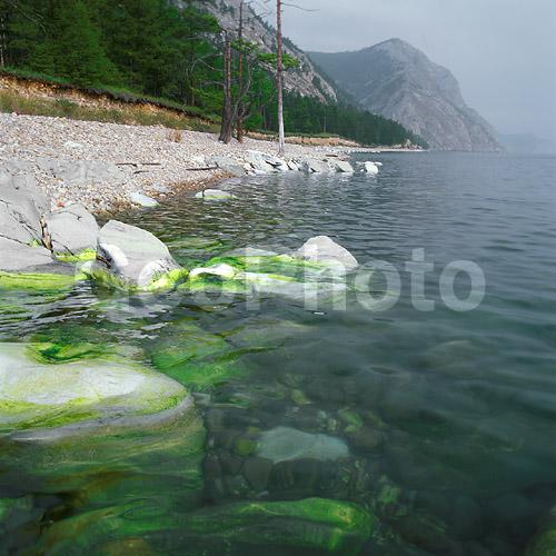 ����� ������, ������, �������� ���������, ��������, ������