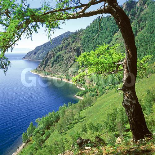 ����� ������, ������