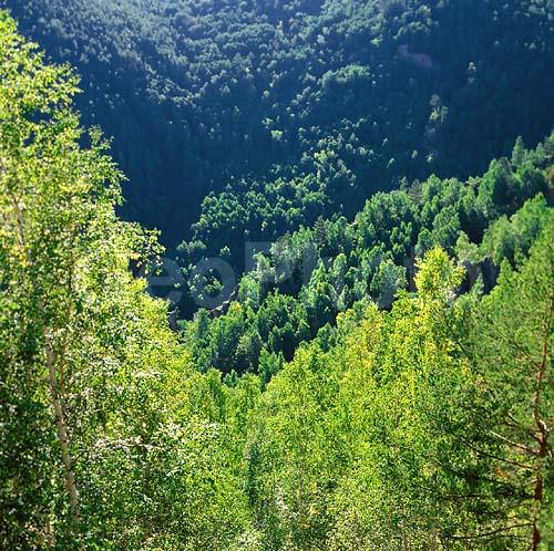 ����� ������, ������