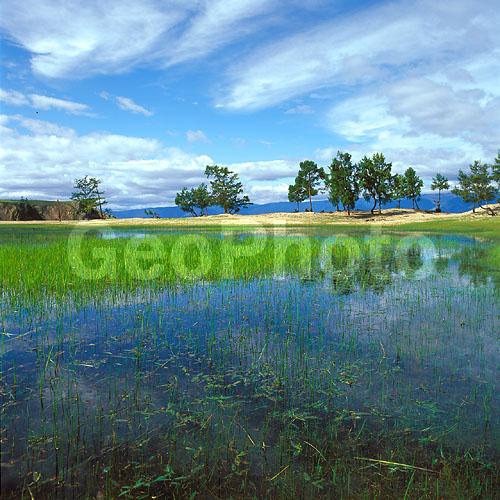 ����� ������, ������