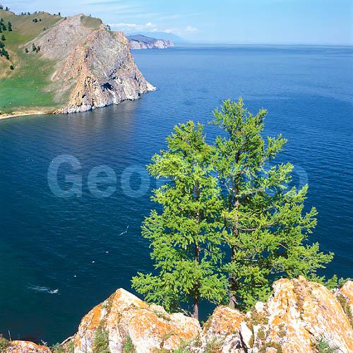 ����� ������, ������