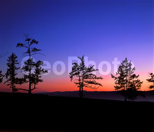 ����� ������, ������