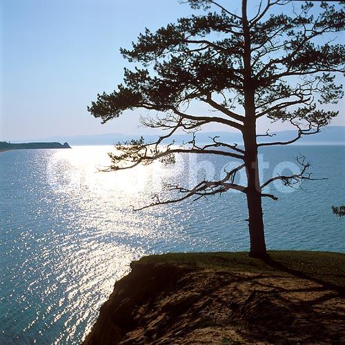 ����� ������, ������