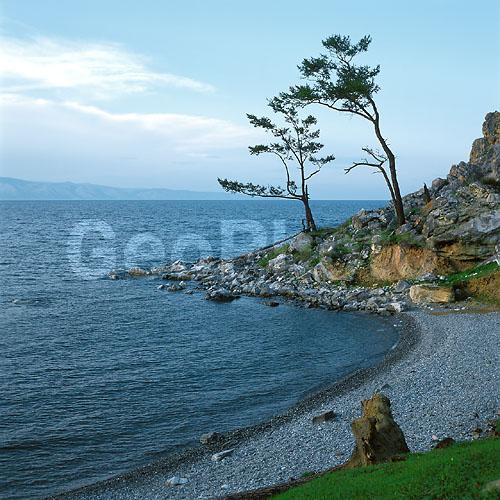 ����� ������, ������