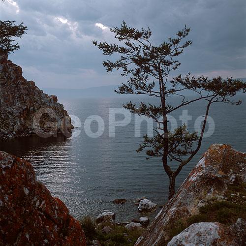 ����� ������, ������