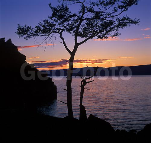 ����� ������, ������