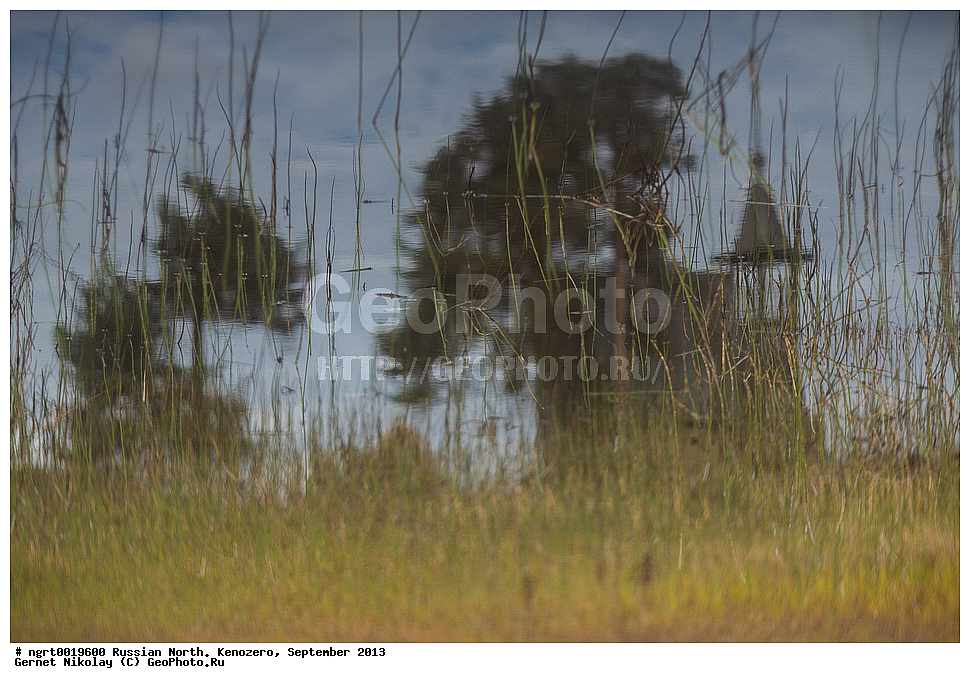 ��������,  ��������, 2013, ���������, ������� ����� � ���������