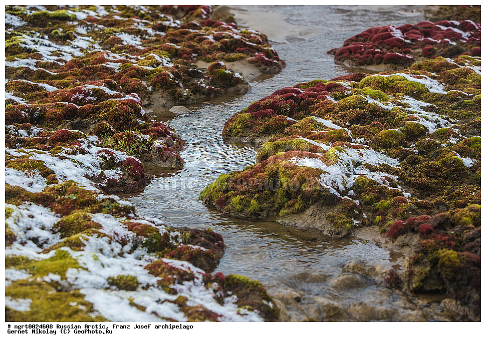 ������, ����� �����, ���������, �������, ������, ������� ������, ���������� �������, ��������� ����, ������� ������, ���������� �������, ��������� ����, ���, �������� ��������� �����, ���, ����� ������ ������