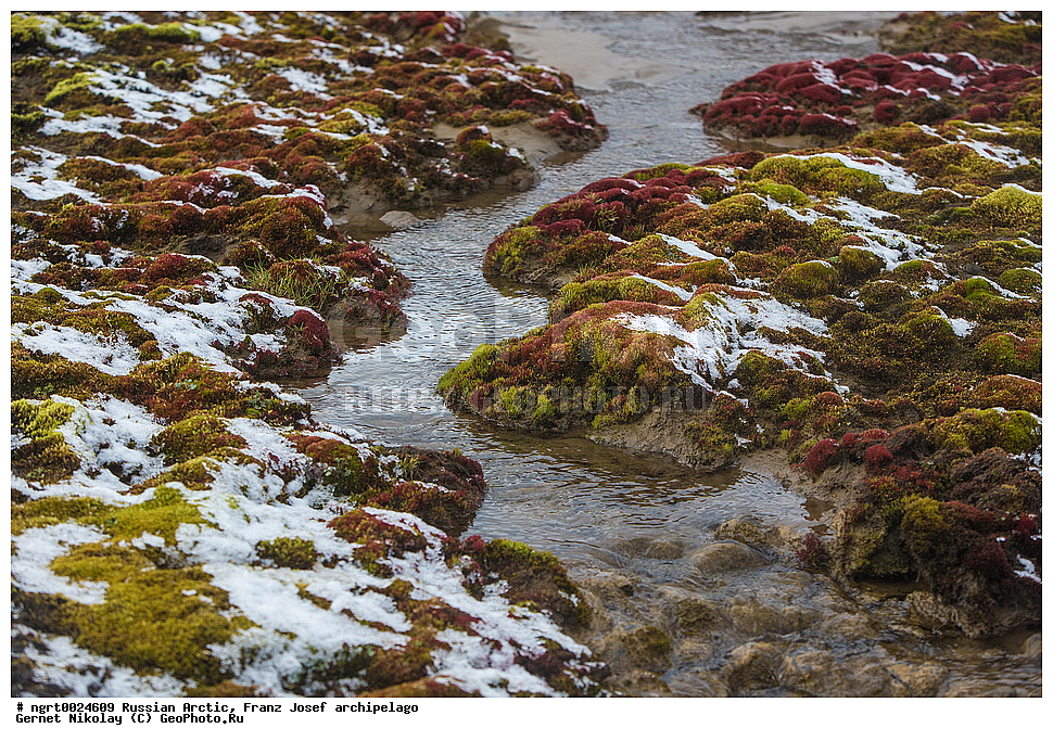 ������, ����� �����, ���������, �������, ������, ������� ������, ���������� �������, ��������� ����, ������� ������, ���������� �������, ��������� ����, ���, �������� ��������� �����, ���, ����� ������ ������