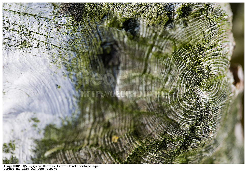 ������, ����� �����, ���������, �������, ������, ������� ������, ���������� �������, ��������� ����, ������� ������, ���������� �������, ��������� ����, ���, �������� ��������� �����, ���, ����� ������ ������