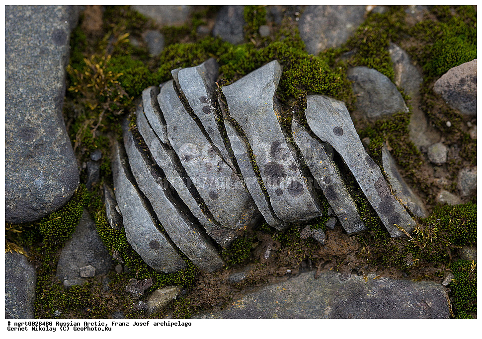 ������, ����� �����, ���������, �������, ������, ������� ������, ���������� �������, ��������� ����, ������� ������, ���������� �������, ��������� ����, ���, �������� ��������� �����, ���, ����� ������ ������