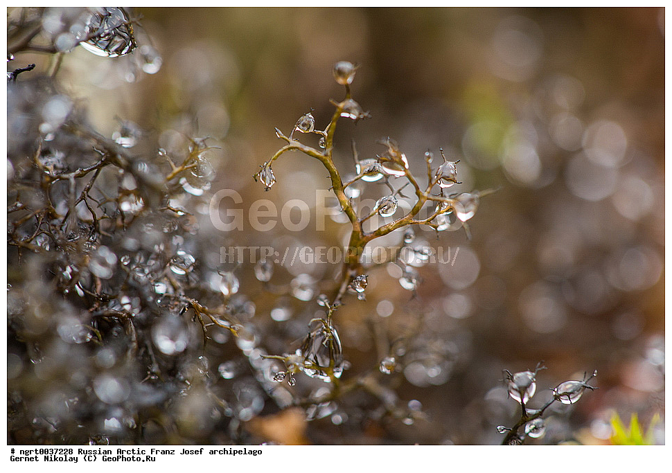 ��������, ���������, ����� ������-������, �������, ������� ������, ���������� �������, ��������� ����, ������� ������, ���������� �������, ��������� ����, ���, �������� ��������� �����