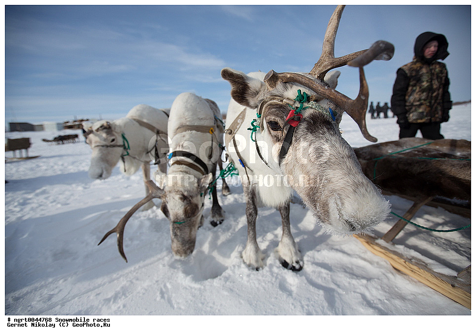 �����, ��������, ������������