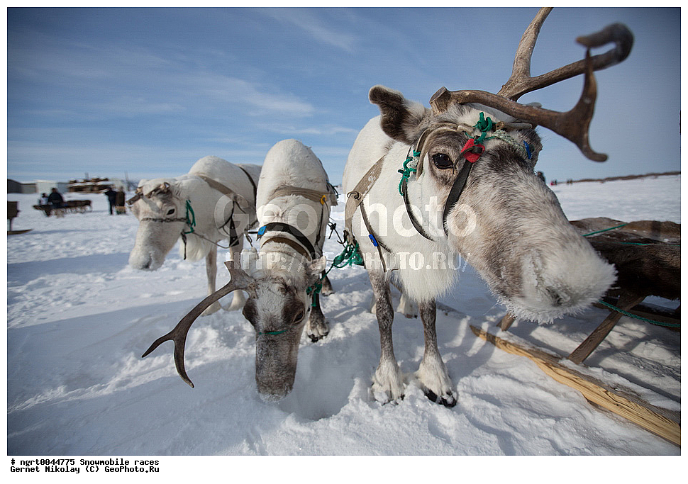 �����, ��������, ������������