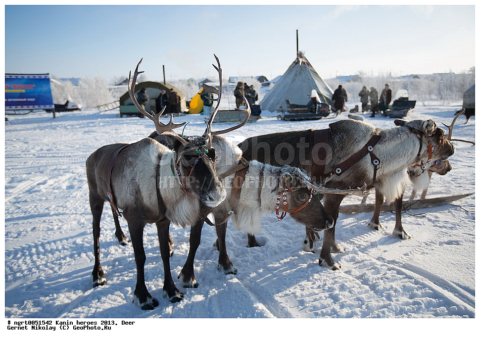 ��������� ��������, ���������, ������������, �����, �����