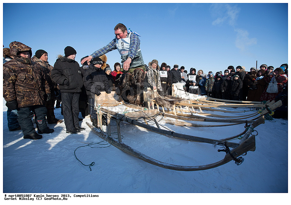 ��������� ��������, ���������, ������������, �����,