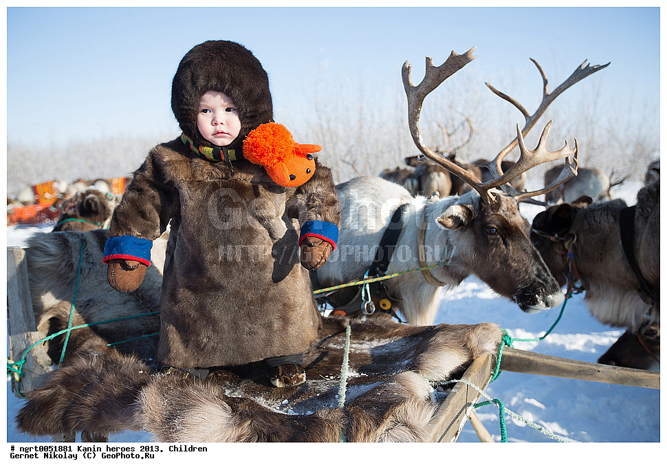 ��������� ��������, ���������, ������������, �����, ����