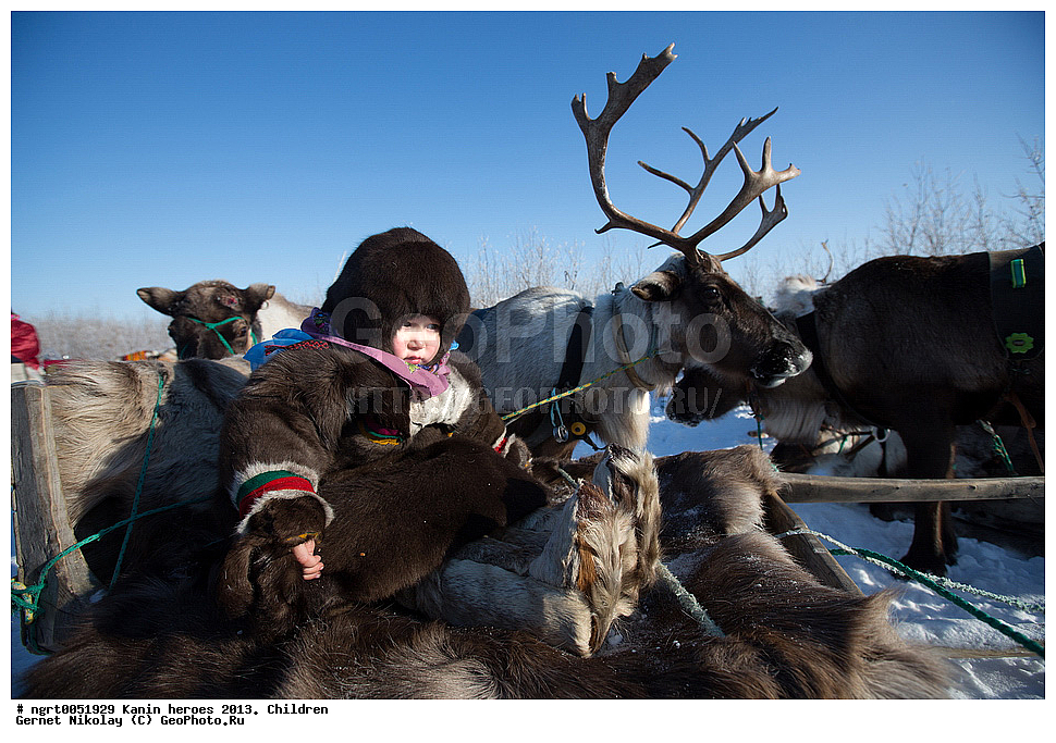 ��������� ��������, ���������, ������������, �����, ����