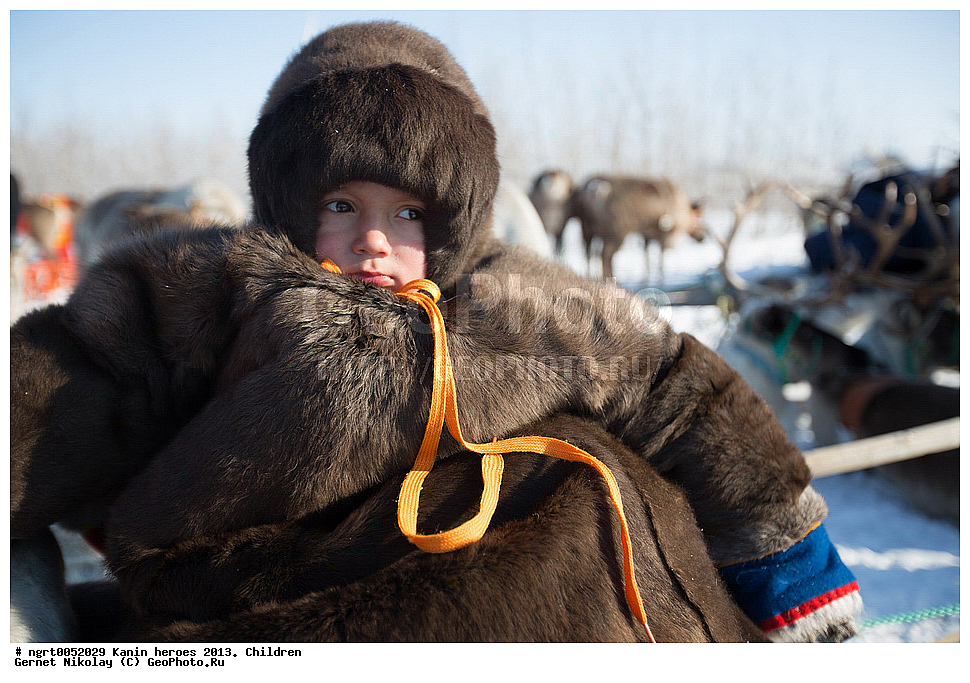 ��������� ��������, ���������, ������������, �����, ����