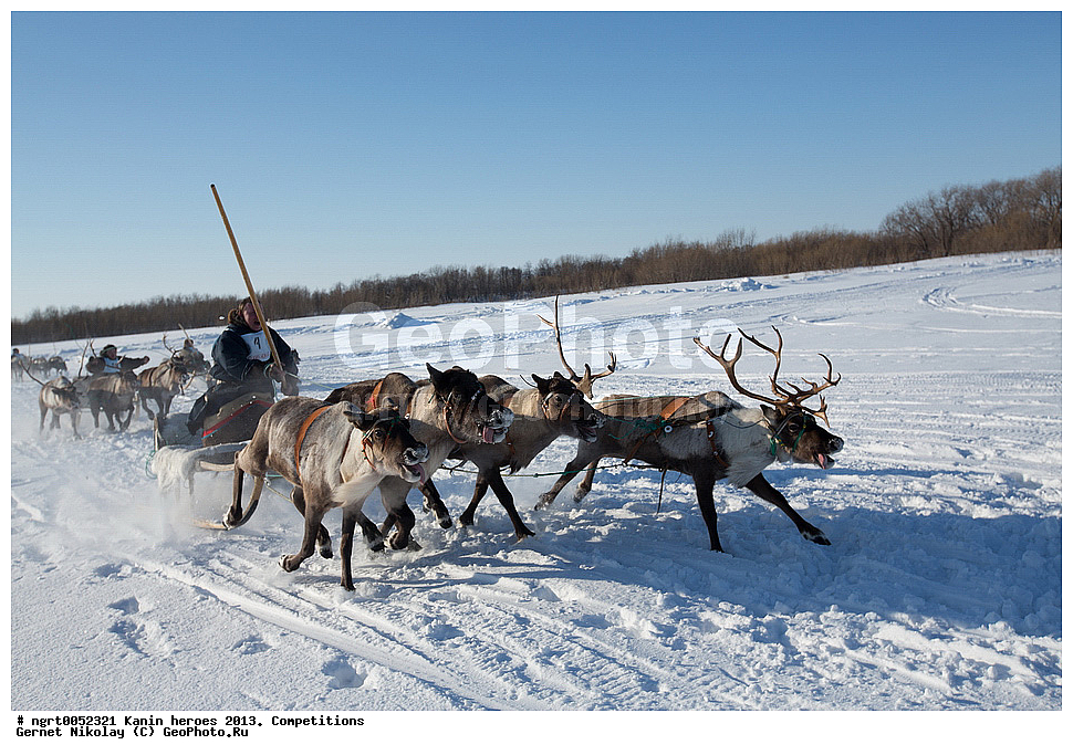 ��������� ��������, ���������, ������������, �����,