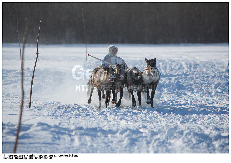 ��������� ��������, ���������, ������������, �����,