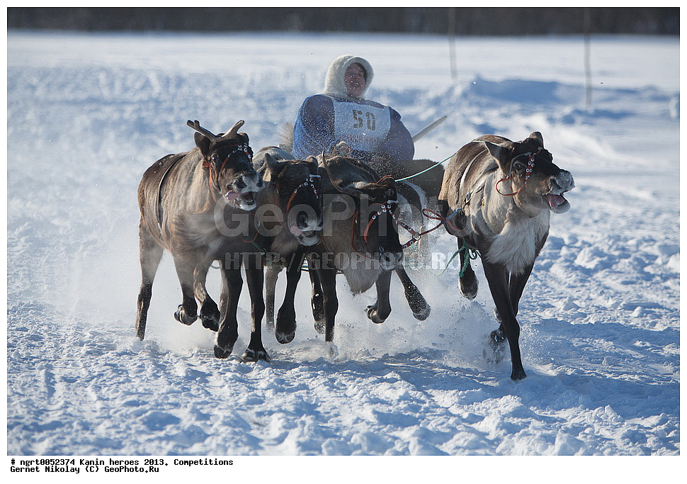 ��������� ��������, ���������, ������������, �����,