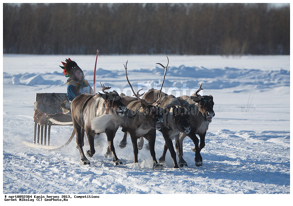 ��������� ��������, ���������, ������������, �����,