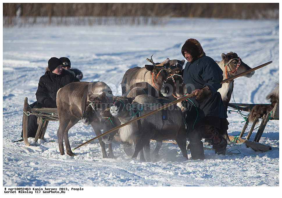 ��������� ��������, ���������, ������������, �����, ������ �������, �������