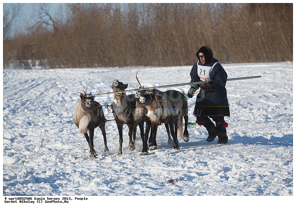 ��������� ��������, ���������, ������������, �����