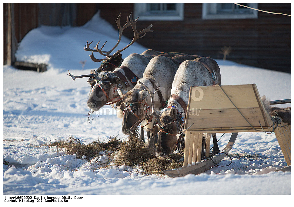 ��������� ��������, ���������, ������������, �����, �����