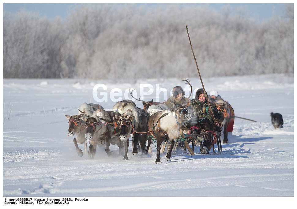 ��������� ��������, ���������, ������������, �����, ������ �������, �������