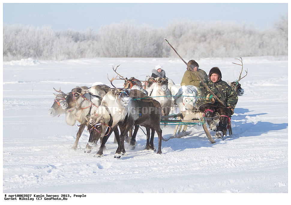 ��������� ��������, ���������, ������������, �����, ������ �������, �������