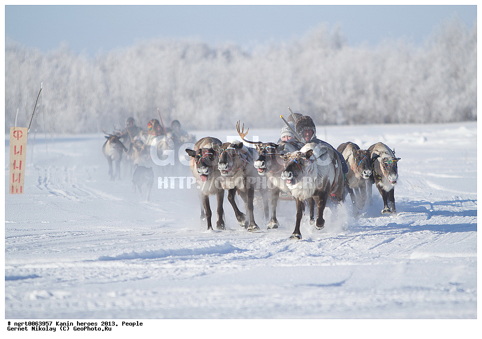 ��������� ��������, ���������, ������������, �����, ������ �������, �������