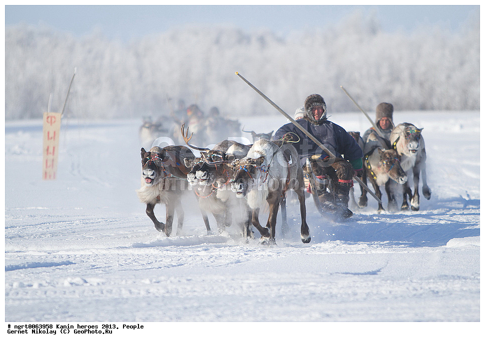 ��������� ��������, ���������, ������������, �����, ������ �������, �������